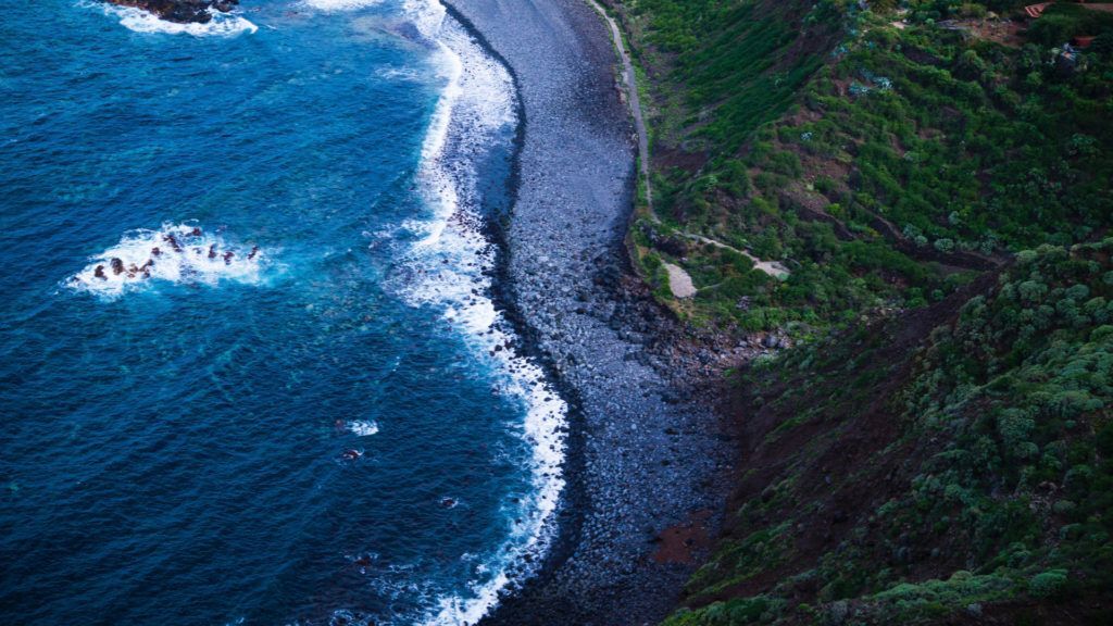 winter blues - escape to canary islands