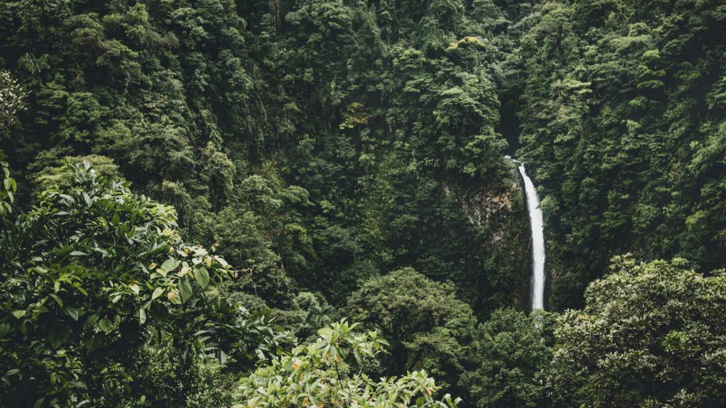 winter blues - escape to costa rica.001