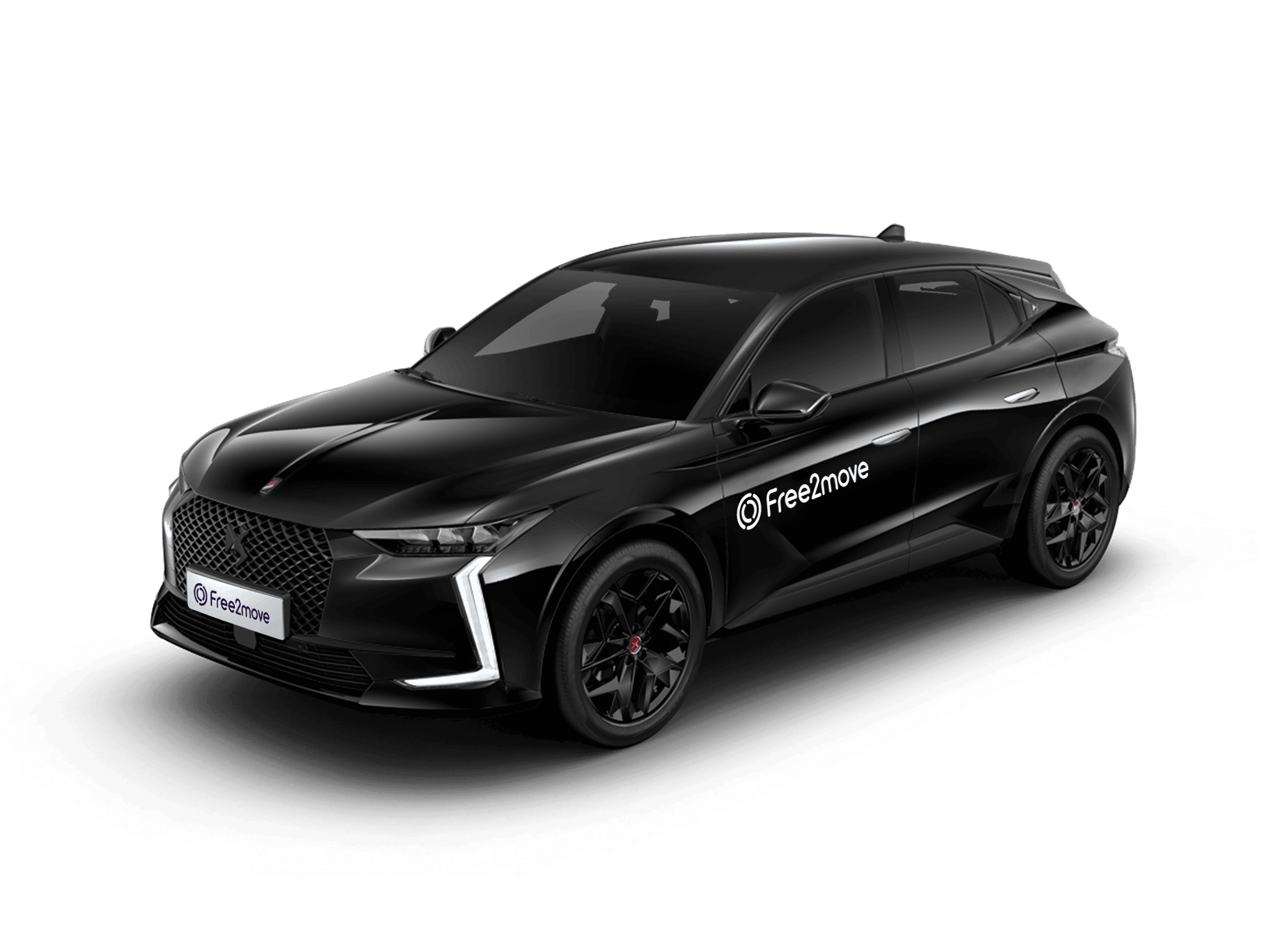 ds-4-cgi
